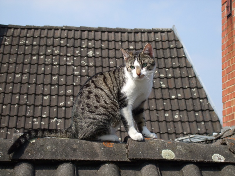 Ostern 2007 Orleshausen 135 